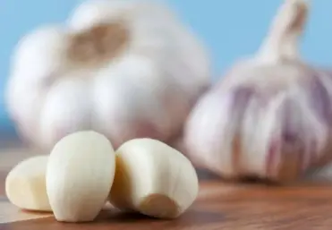 Does freezing garlic destroy allicin?