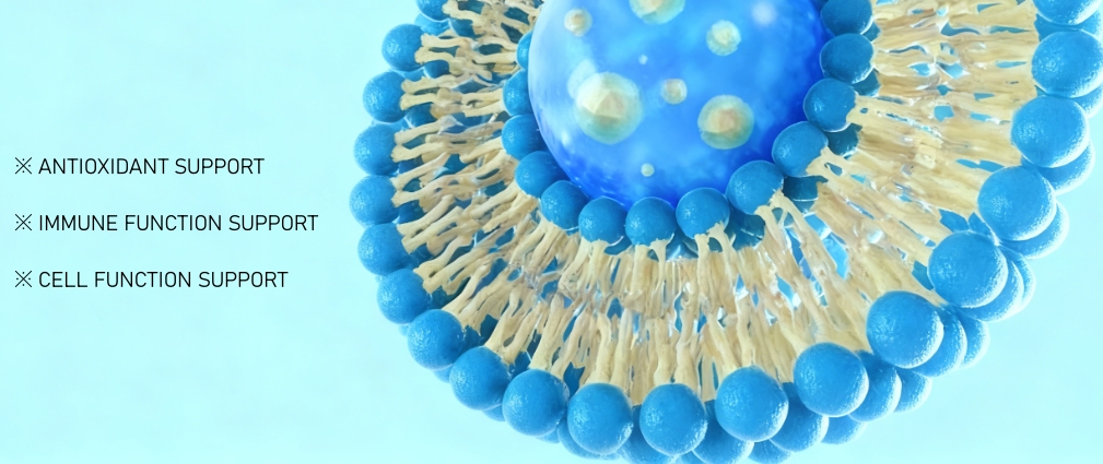 Glutathione Phospholipids Liposomal factory price