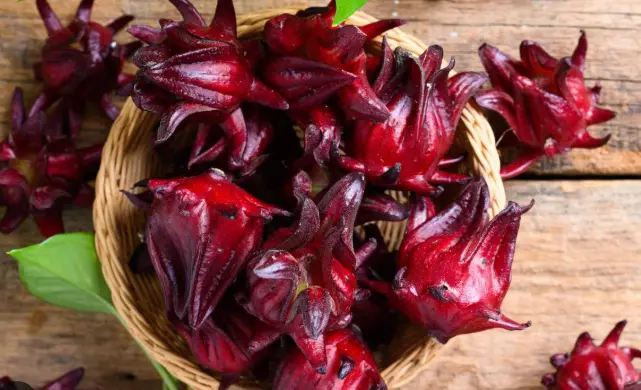hibiscus sabdariffa flower