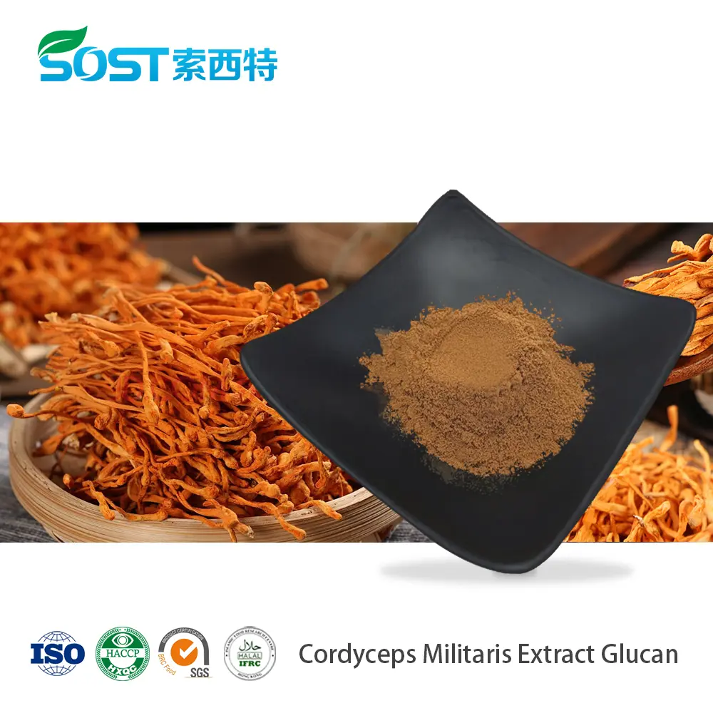 Cordyceps Militaris Extract Glucan.jpg