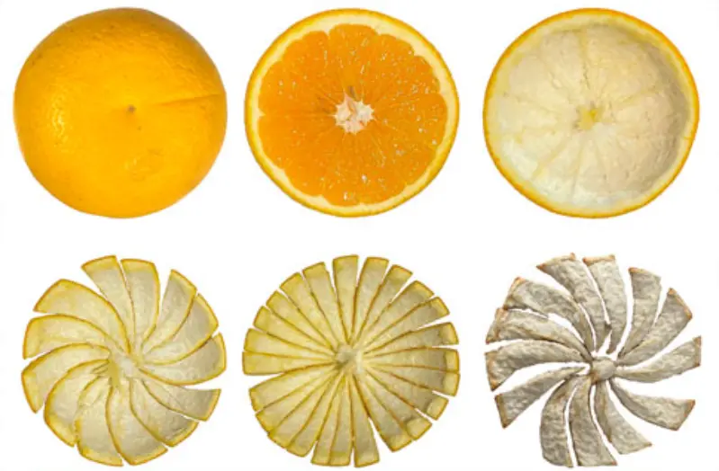 Citrus Aurantium Extract Nobiletin