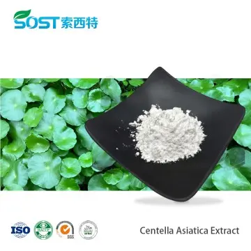 Centella Asiatica Extract
