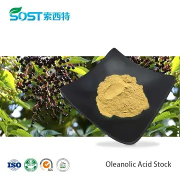 Oleanolic Acid Powder
