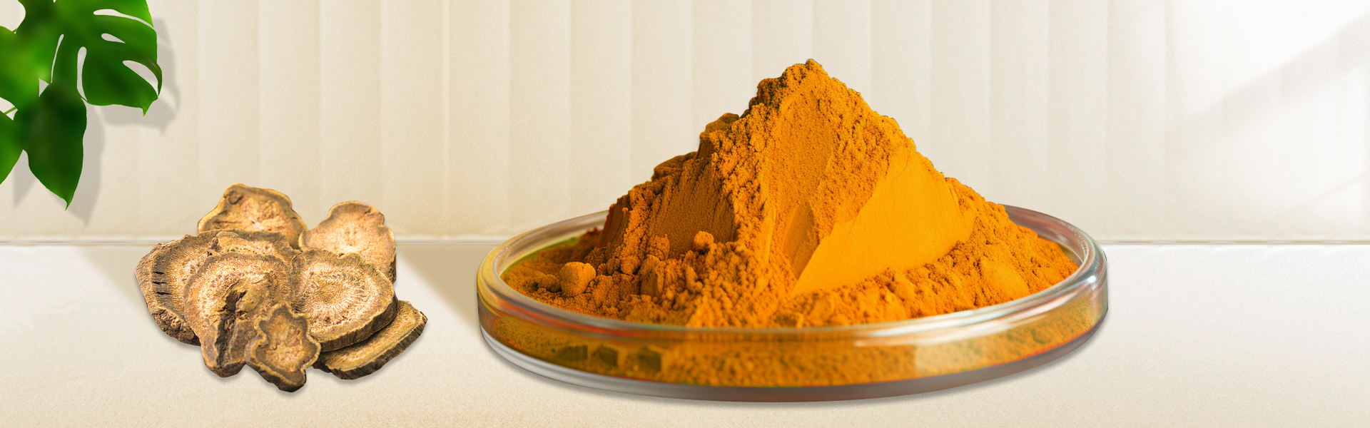 Emodin powder