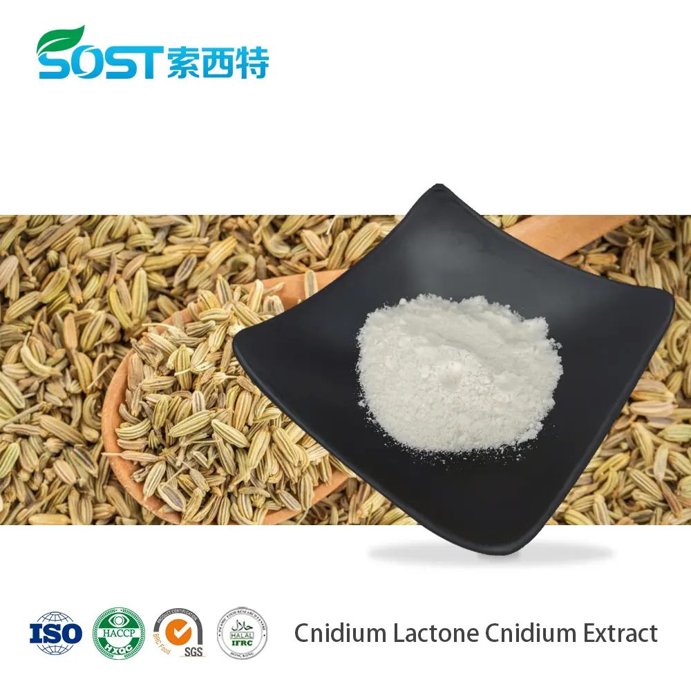 Cnidium Lactone Cnidium Extract.jpg
