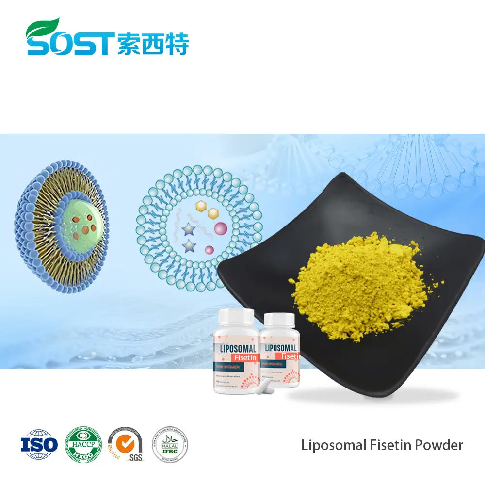 Liposomal Fisetin Powder脂质体非瑟酮.jpg