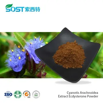 Cyanotis Arachnoidea Extract Ecdysterone Powder