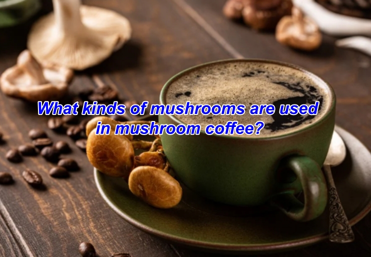 What kinds of mushrooms are used in mushroom coffee?