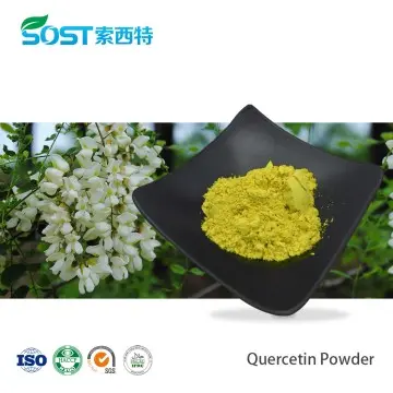 Quercetin Powder Sophora Japonica Extract CAS 6151-25-3