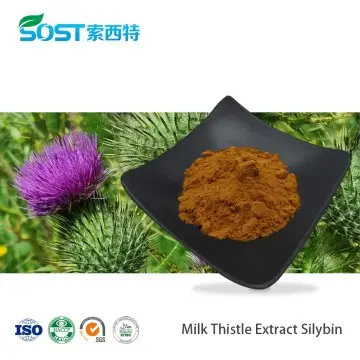 Milk Thistle Extract Powder