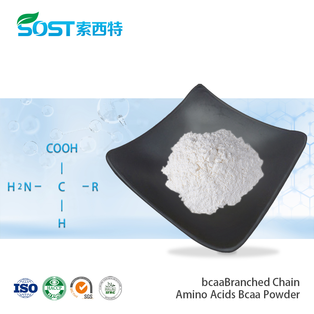 Branched Chain Amino Acids Bcaa Powder