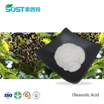 Oleanolic Acid 98%