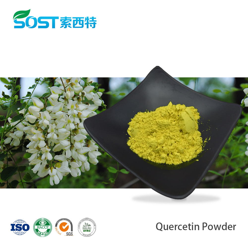 Quercetin Powder.jpg