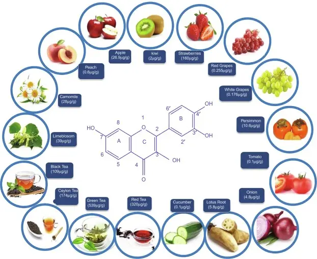 food contains fisetin
