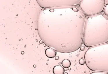 6 Questions about Ceramides