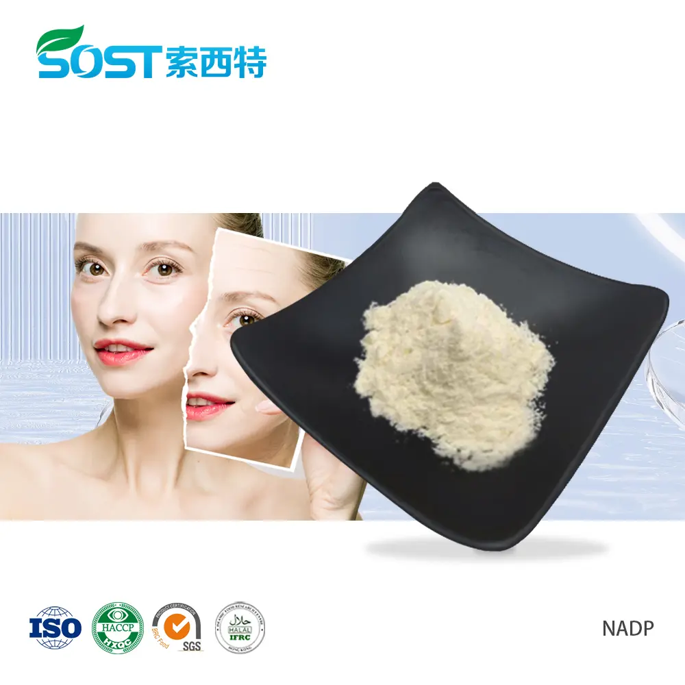 NADP Beta-Nicotinamide Adenine Dinucleotide Phosphate.jpg