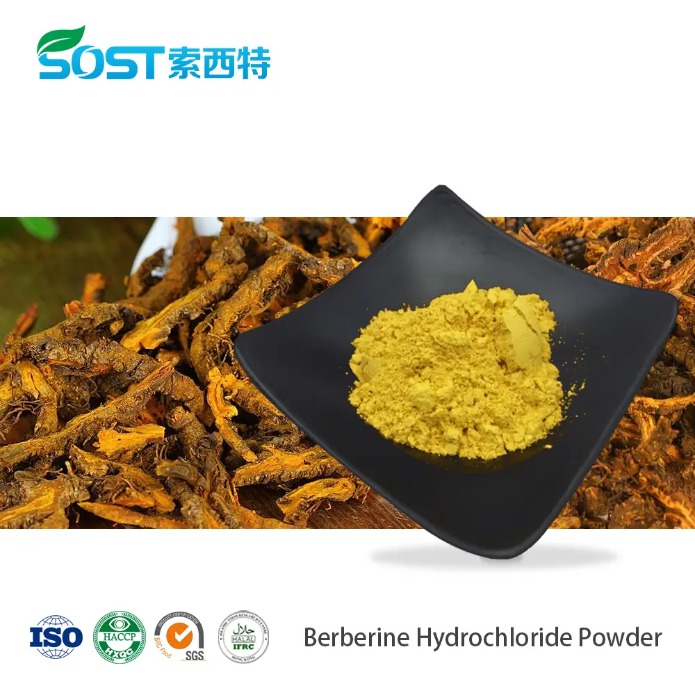 Berberine Hydrochloride Powder.jpg