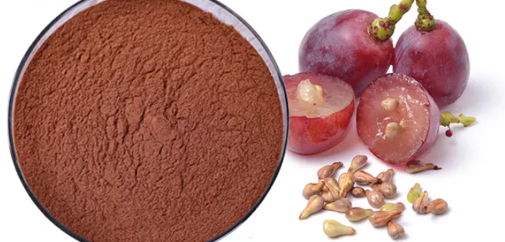 Grape Seed Extract Powder