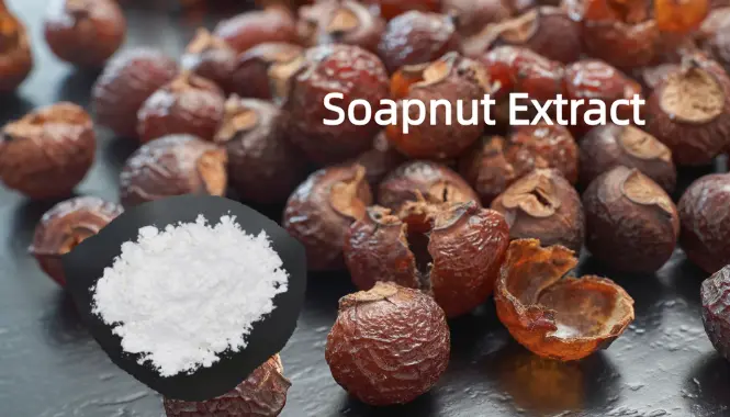 Soapnut extract