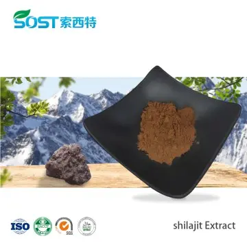 Bulk Shilajit Extract Powder