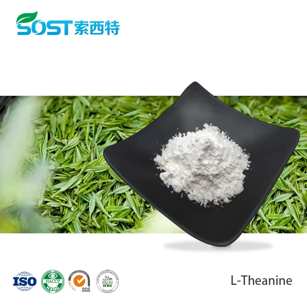 L-Theanine 99% Powder L Theanine