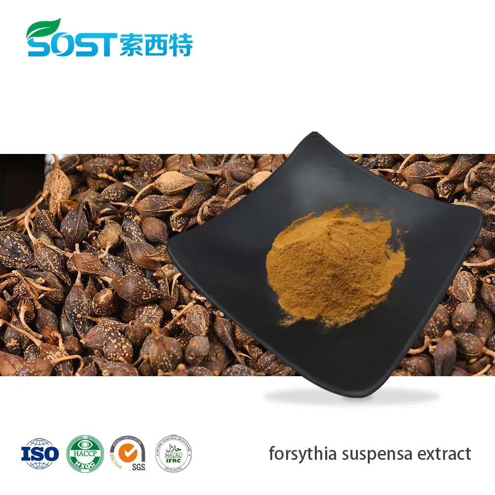 forsythia suspensa extract.jpg