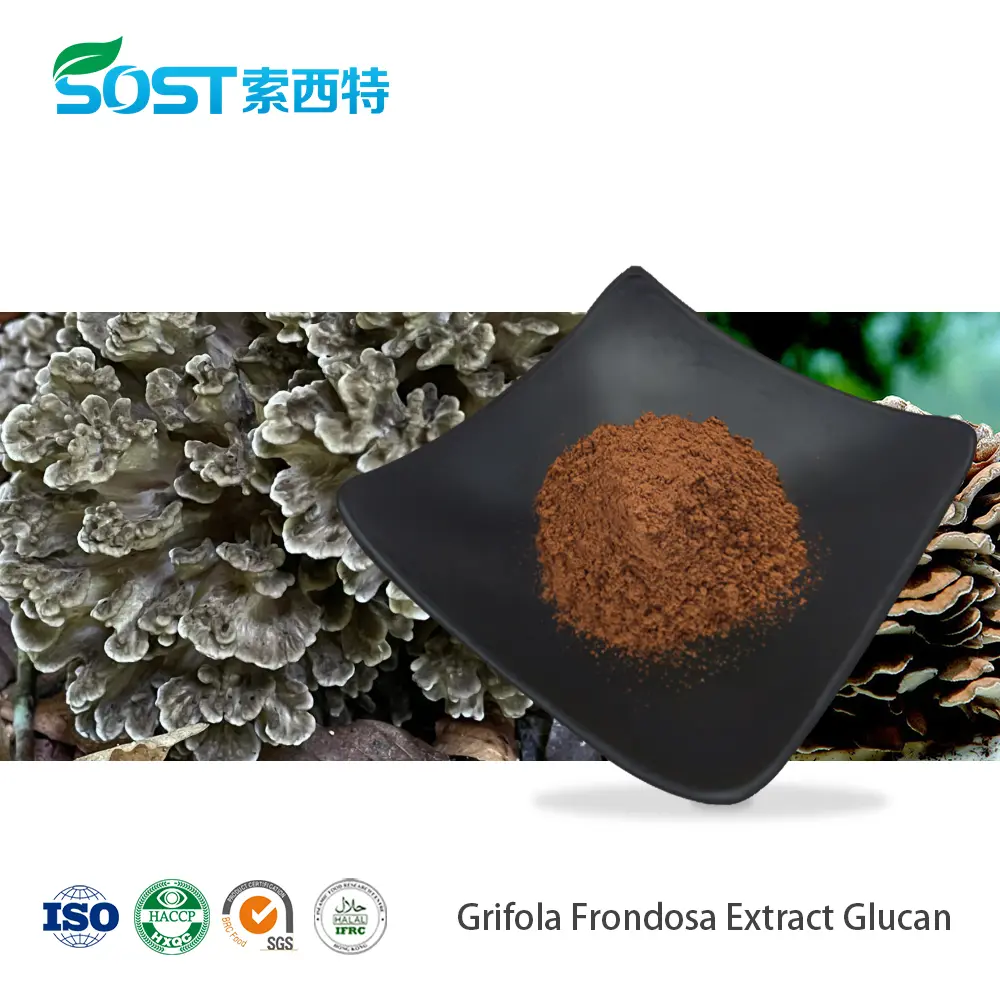 Grifola Frondosa Extract Glucan.jpg