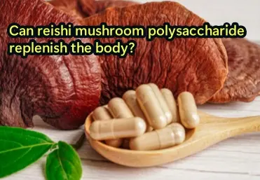 Can reishi mushroom polysaccharide replenish the body?