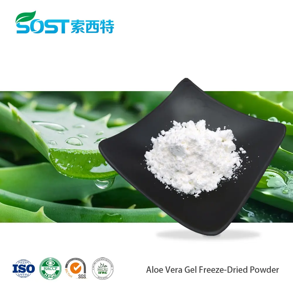 Aloe Vera Gel Freeze-Dried Powder芦荟凝胶冻干粉.jpg