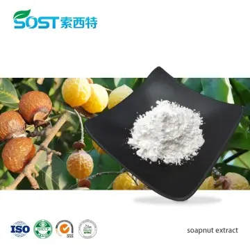 Soapnut Extract