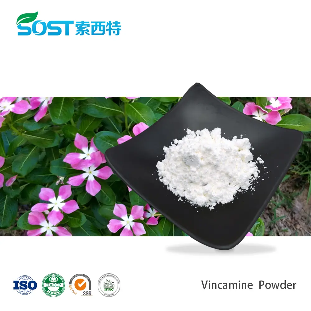 Vincamine Powder.jpg