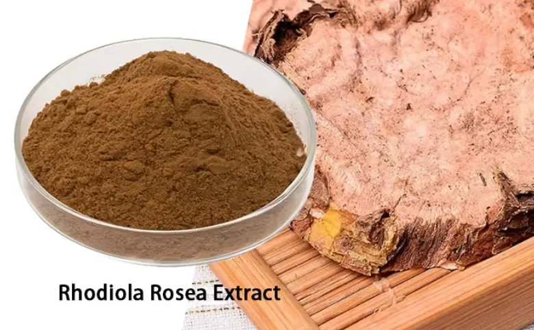 Rhodiola Rosea Extract Powder