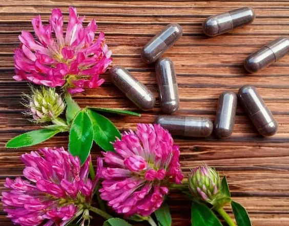 red clover extract capsules