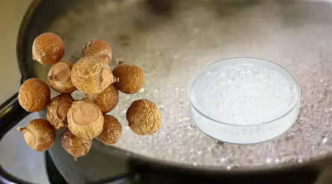 soapberry extract supplement