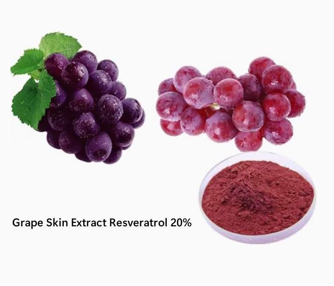 Grape Skin Extract Resveratrol.png