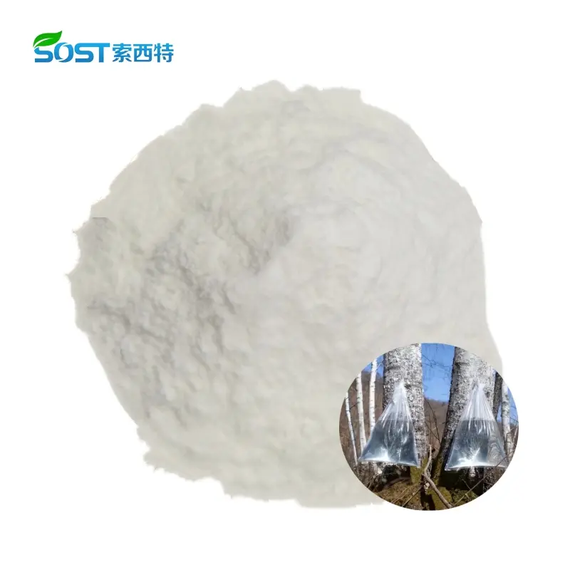 Birch juice Powder.jpg