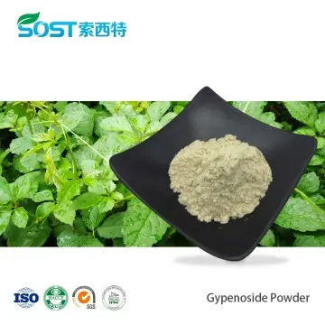 Gypenosides 80% Gypenoside Powder
