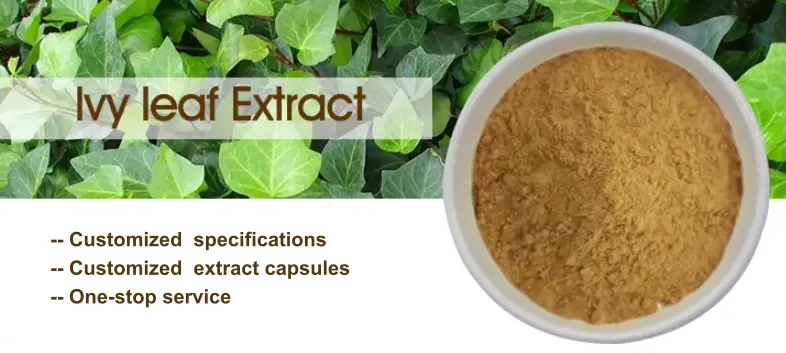 ivy leaf extract oem services