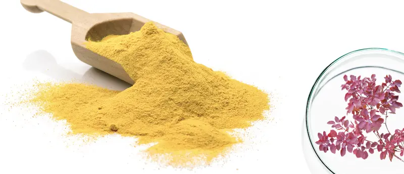 Why Fisetin is important for us?