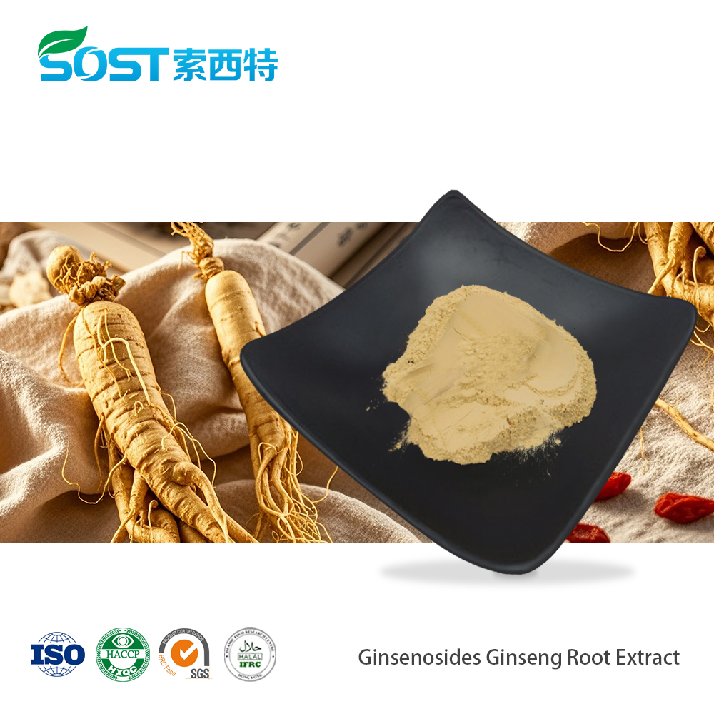 Ginsenosides Ginseng Root Extract.jpg