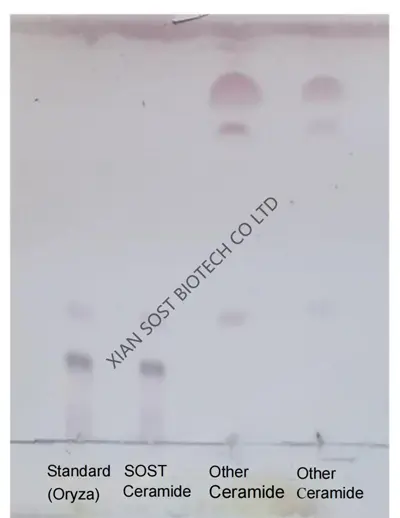 product-description4xhu