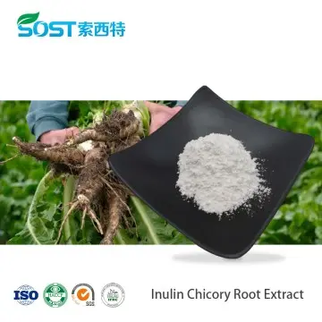 Inulin Chicory Root Extract 90%