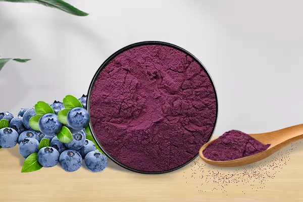 What is Blueberry Anthocyanin and what is the effects of Blueberry Anthocyanins?