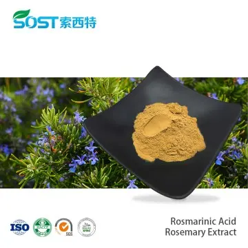 Rosmarinic Acid 30% Rosemary Extract
