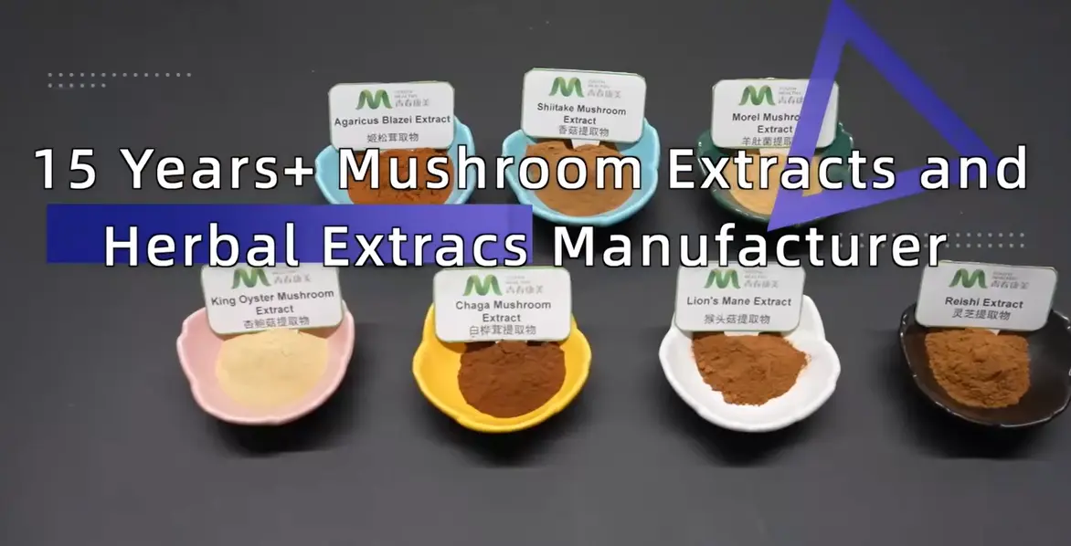 mushroom powder manufacturer