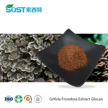 Grifola Frondosa Extract Glucan