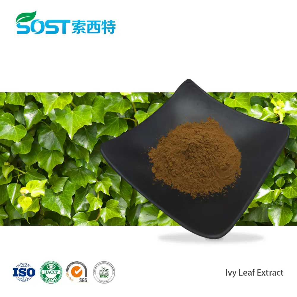 Ivy Leaf Extract.jpg