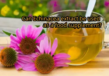 Can Echinacea extract be used as a food supplement?