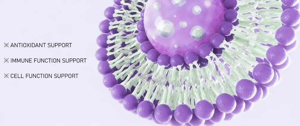 NAD Phospholipids Liposomal manufacturer