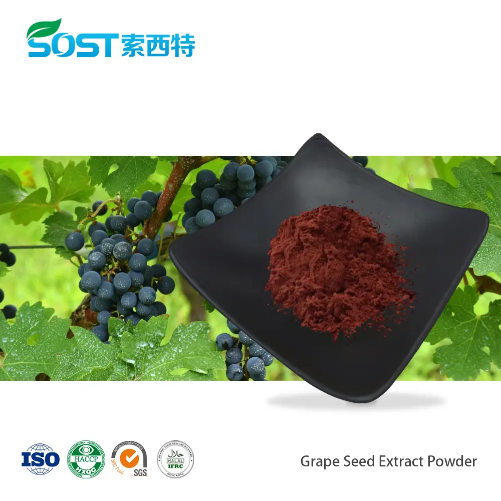 Grape Seed Extract Powder.jpg